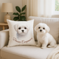 A white Maltese pillow with the text 'Dream Companion' on a sofa, featuring an image of a Maltese puppy.